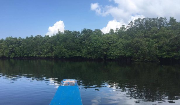 13120590_1004858532923594_456268333_o