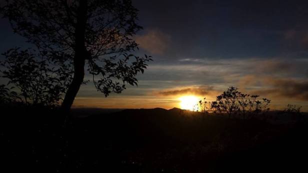 13256160_1273662749329688_7203318792294330879_n