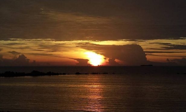 13263913_1273662762663020_5324321729145562590_n