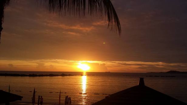 13266061_1277466895615940_8484360920260782889_n