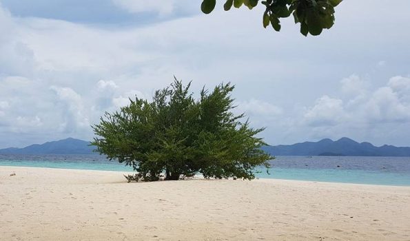 13645318_1310863572276272_2069881121369583085_n