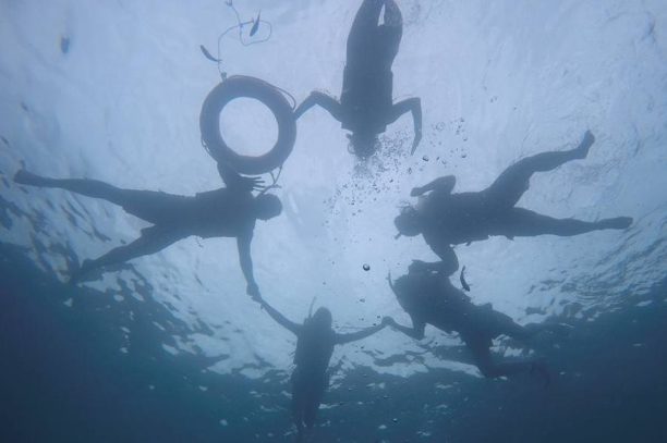 13659143_1310865665609396_5517461775737661493_n