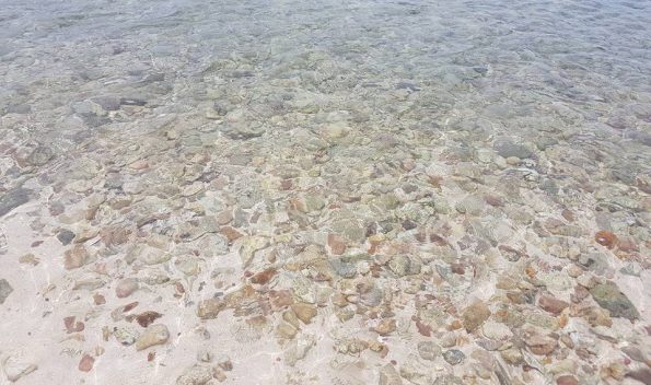 13669726_1310863418942954_4727157022841148649_n