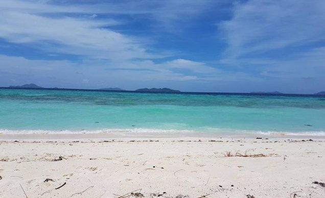 13686794_1310865492276080_1668200031602506858_n