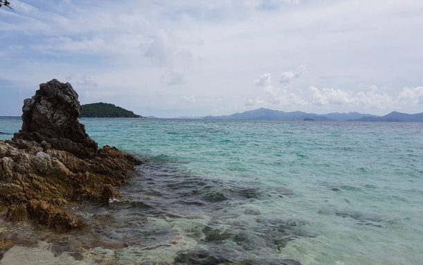 13718498_1310863218942974_8291169946337718384_n