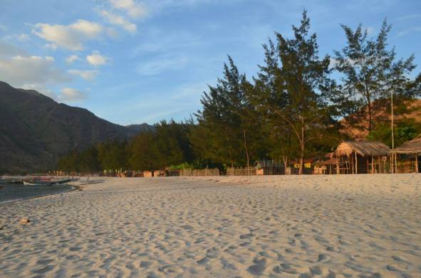 1901267_432305553570724_1098976092_n