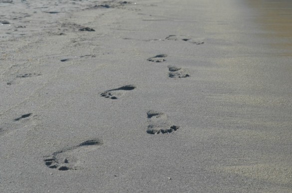 1922439_432308710237075_1489836129_n