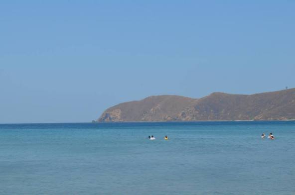 999952_432309733570306_741099514_n