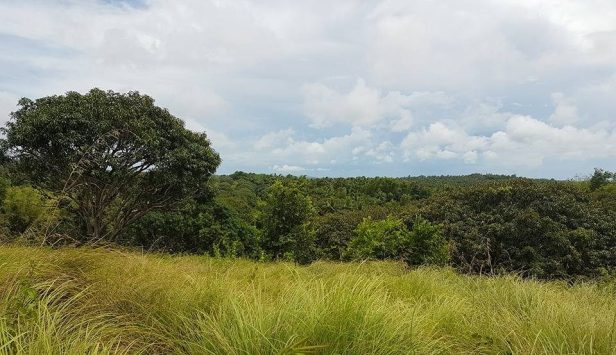 14900546_1416188978410397_5498229850871668487_n