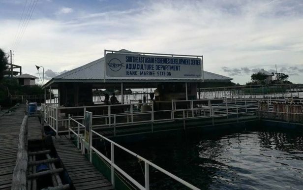 14925413_1416191895076772_7698488969740166833_n