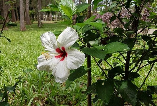 14980646_1416189118410383_8149708455886624480_n