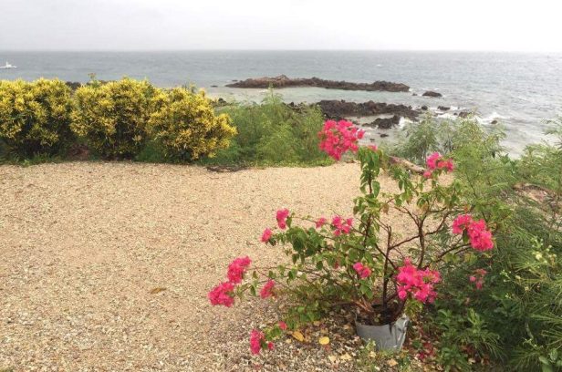 received_10208650158306236