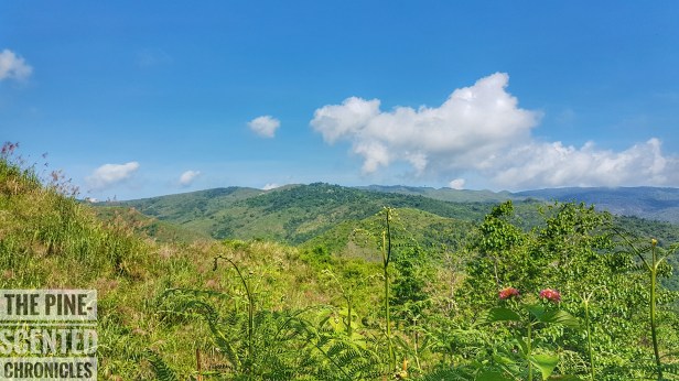 20170618_085048-01[1]