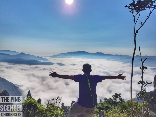 20170625_071500-01[1]