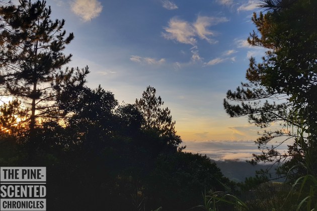 20170709_053851-01[1]