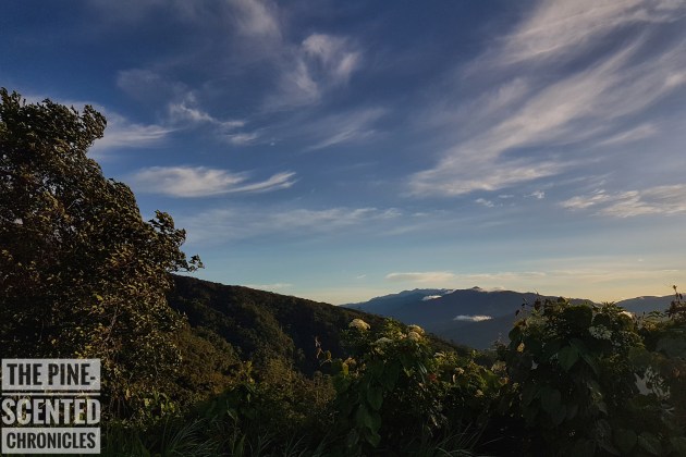 20170709_055630-01[1]