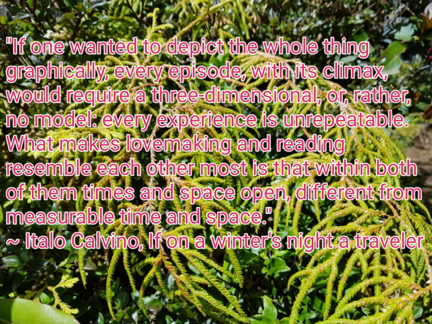 textgram_1524542756.png