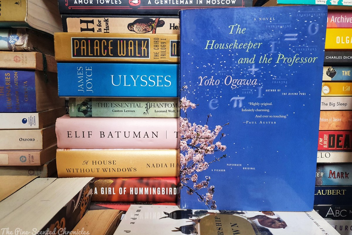 The Housekeeper And The Professor Summary thetorogichronicles.com