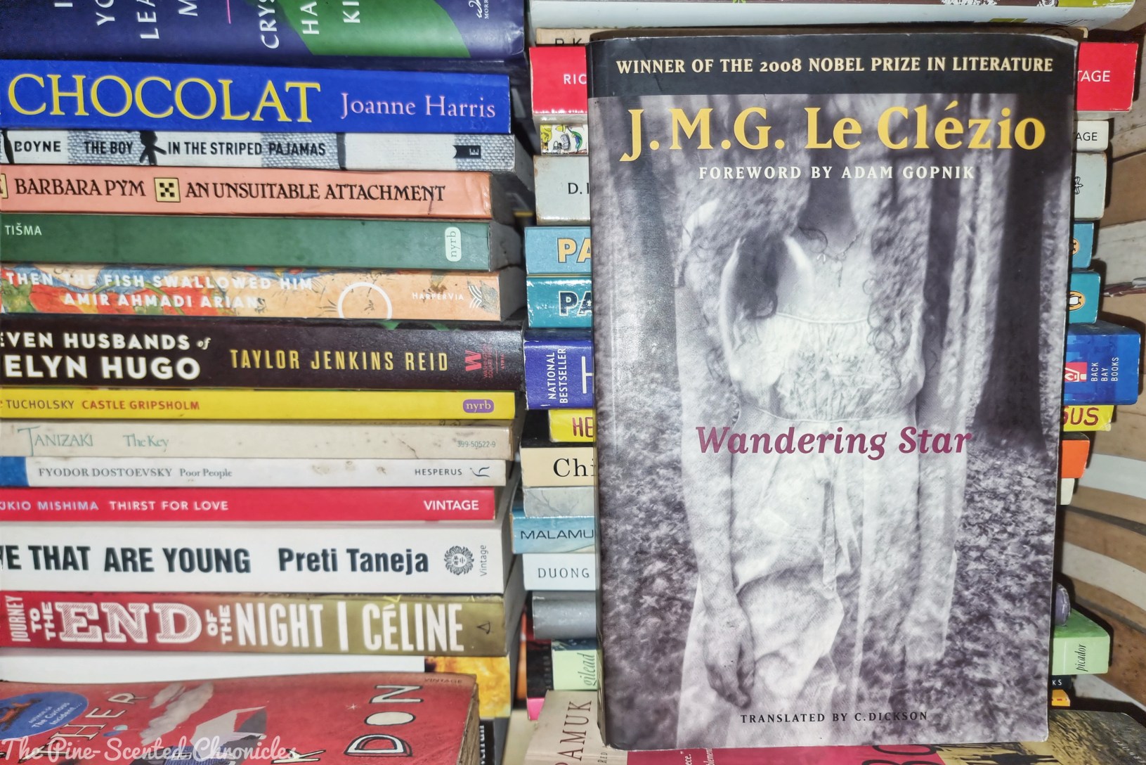 Book Review # 464: Wandering Star – The Pine-Scented Chronicles